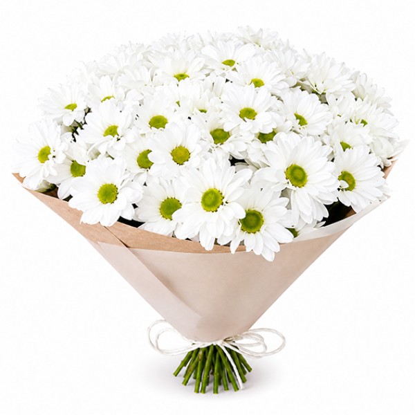 Bouquet of Chamomile