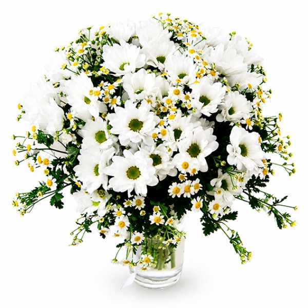 Bouquet of daisies