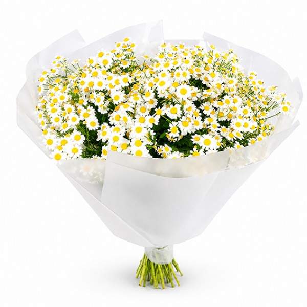 Bouquet of field daisies