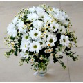 Bouquet of daisies