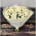 Bouquet of field daisies