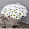Bouquet of Chamomile