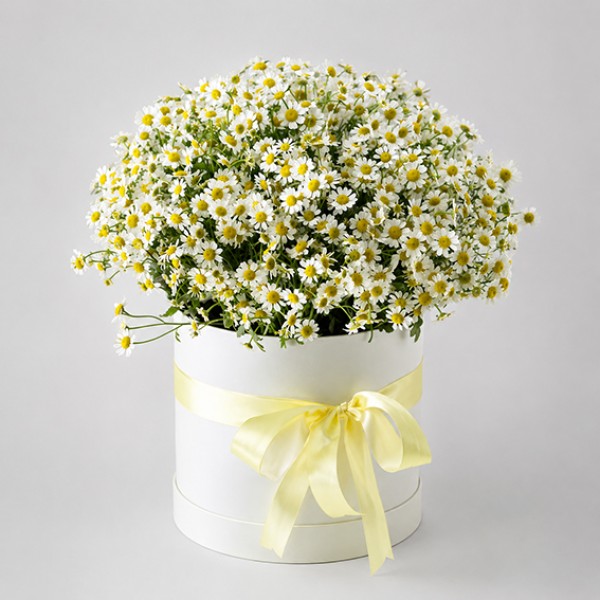 Box of wild daisies