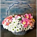 Basket of flowers Provence