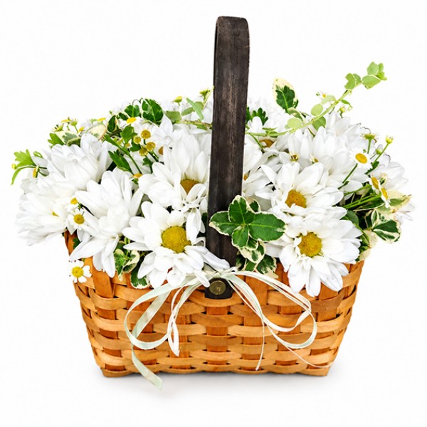 Корзинка с ромашками