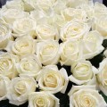Роза белая минимально 11 шт