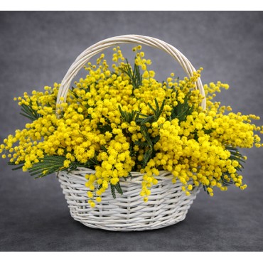 Mimosa Flower Basket