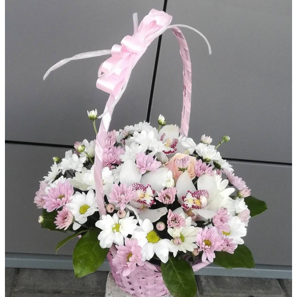 Basket with daisies and orchids
