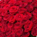 Роза красная минимально 11 шт.